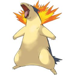 typhlosion competitivo.